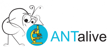 AntAlive